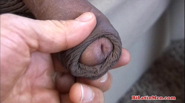 Latin Dinga verga grande