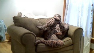horny hard tiger jerks off while lying in a large chair