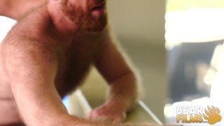BEARFILMS Burly Bear Brad Kalvo Fucks Ginger Hunk Bareback